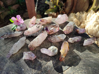 Natural Smokey Window Amethyst Crystals with Enhydro Bubbles x 20 From Chiredzi, Zimbabwe