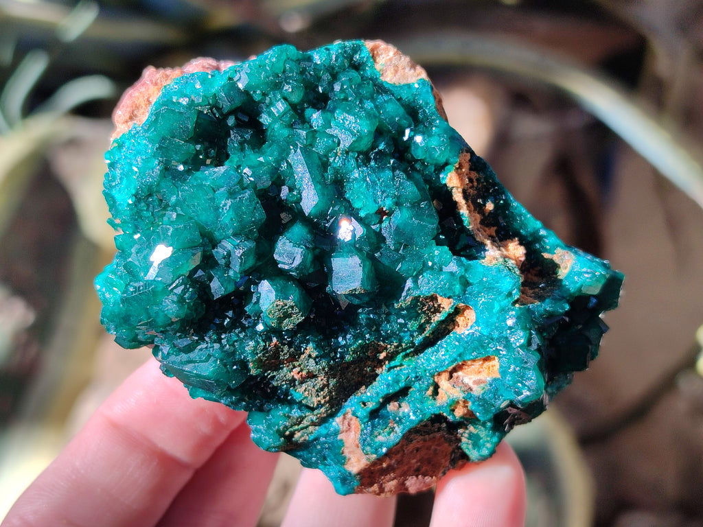Natural Dioptase on Dolomite Matrix Specimens x 4 From Likasi, Congo - Toprock Gemstones and Minerals 