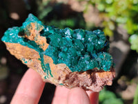Natural Dioptase on Dolomite Matrix Specimens x 4 From Likasi, Congo