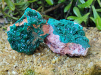 Natural Dioptase on Dolomite Matrix Specimens x 4 From Likasi, Congo