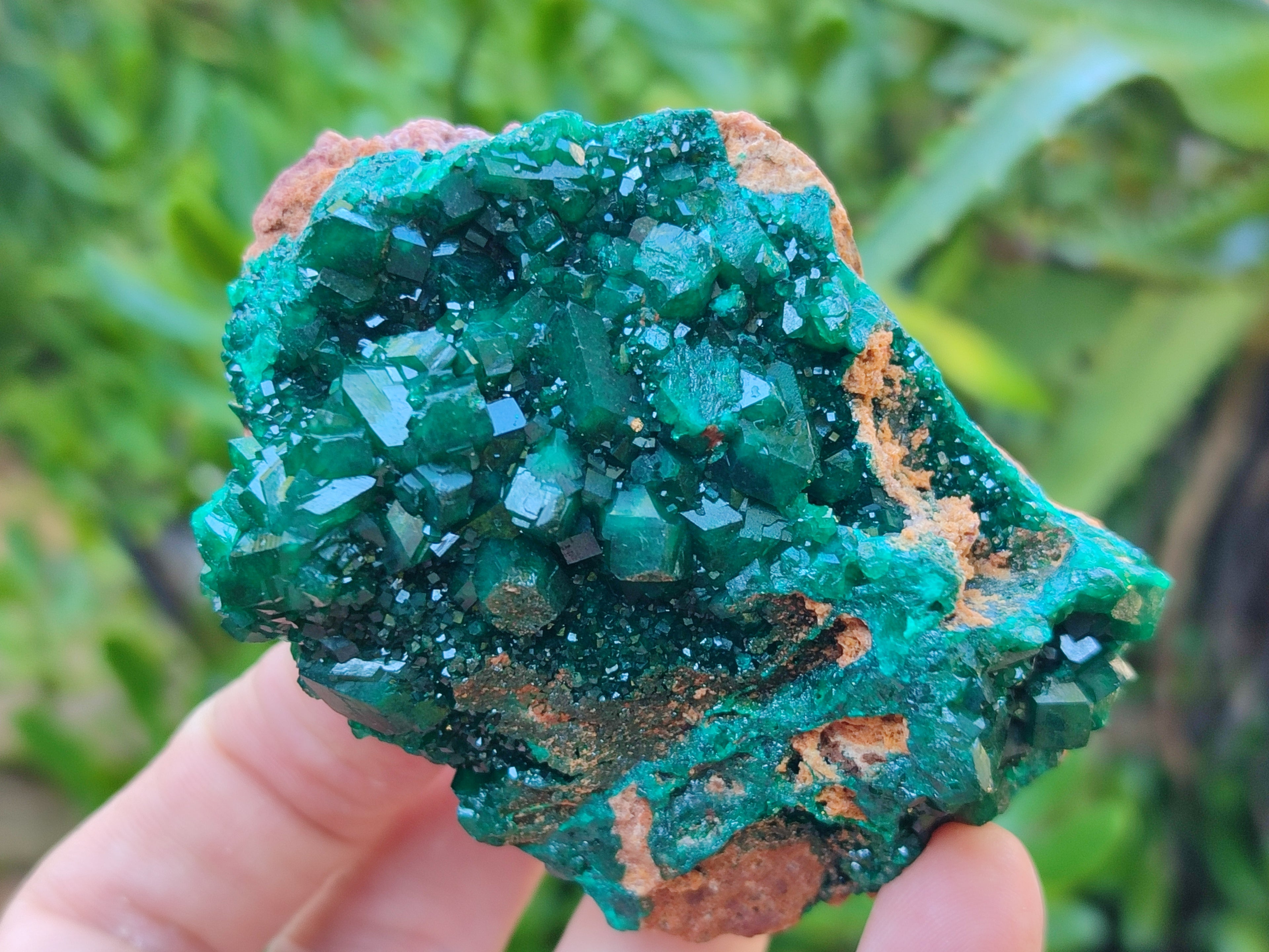 Natural Dioptase on Dolomite Matrix Specimens x 4 From Likasi, Congo - Toprock Gemstones and Minerals 