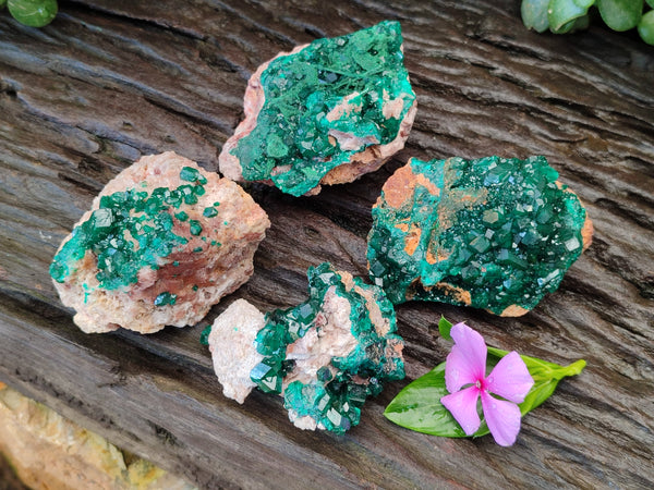 Natural Dioptase on Dolomite Matrix Specimens x 4 From Likasi, Congo