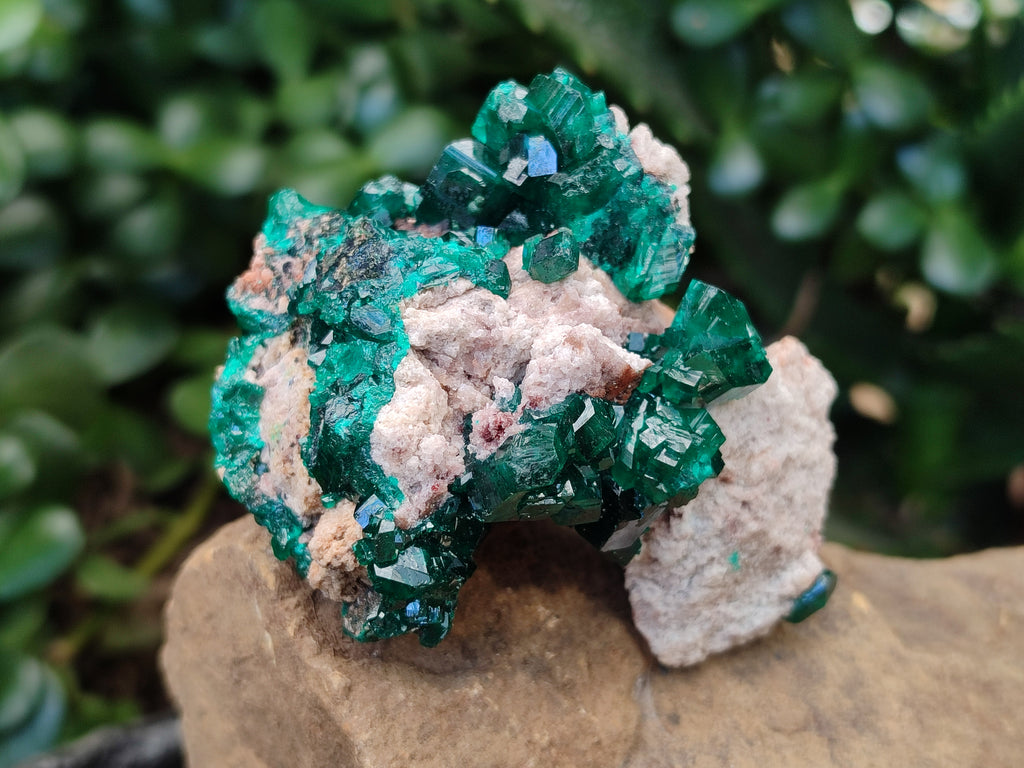 Natural Dioptase on Dolomite Matrix Specimens x 4 From Likasi, Congo - Toprock Gemstones and Minerals 