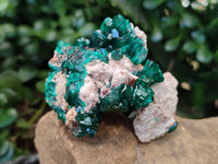 Natural Dioptase on Dolomite Matrix Specimens x 4 From Likasi, Congo