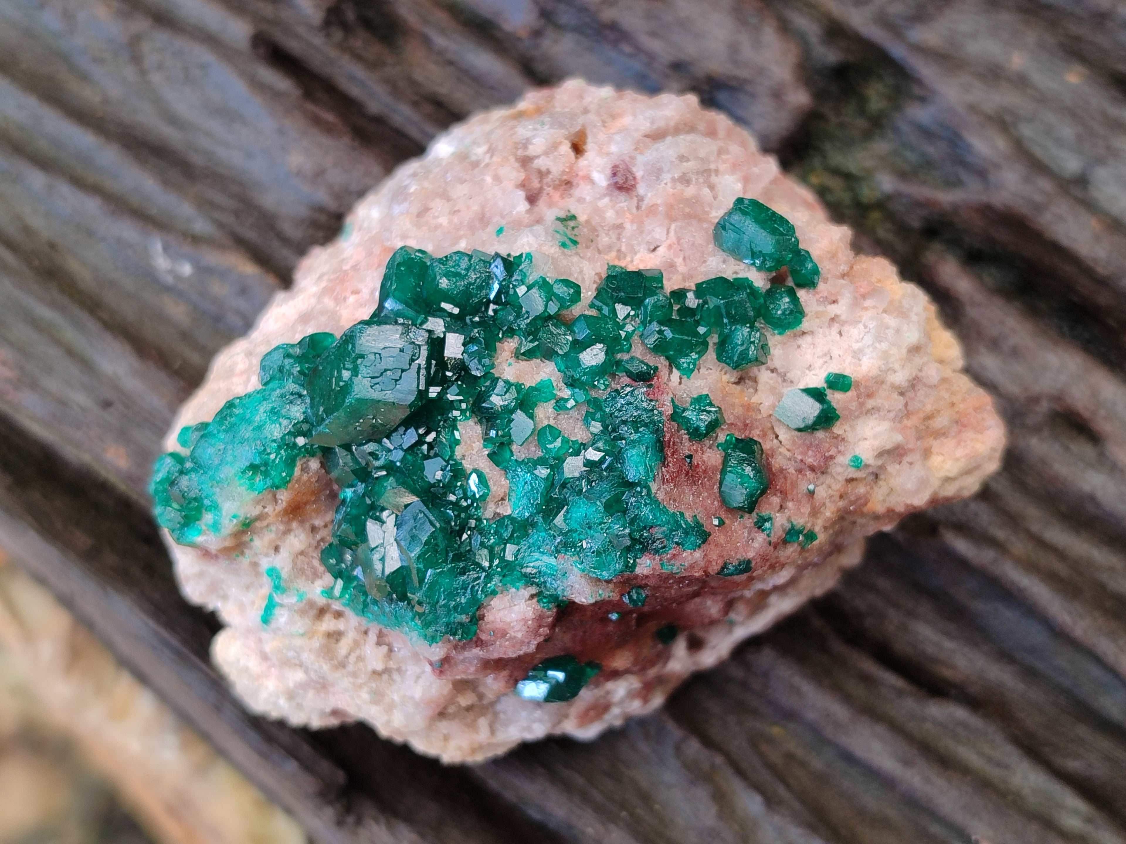 Natural Dioptase on Dolomite Matrix Specimens x 4 From Likasi, Congo - Toprock Gemstones and Minerals 