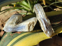 Natural Blue Lace Agate Geode Specimens x 24 From Nsanje, Malawi