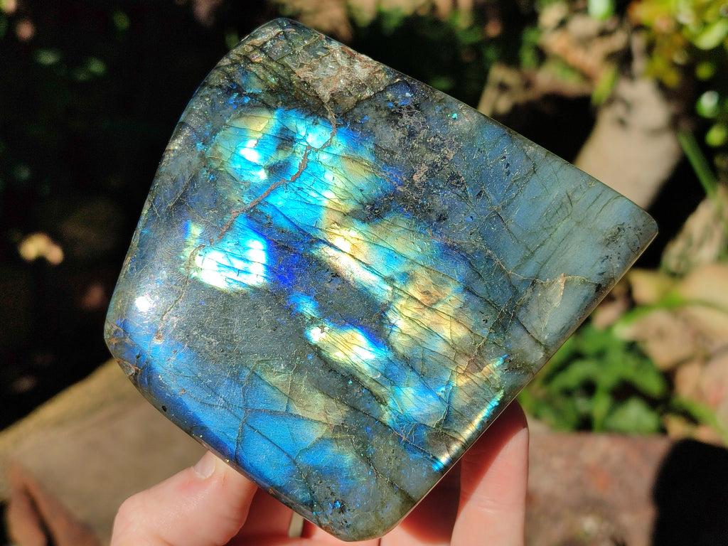 Polished Labradorite Standing Free Forms x 2 From Tulear, Madagascar - Toprock Gemstones and Minerals 