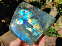 Polished Labradorite Standing Free Forms x 2 From Tulear, Madagascar