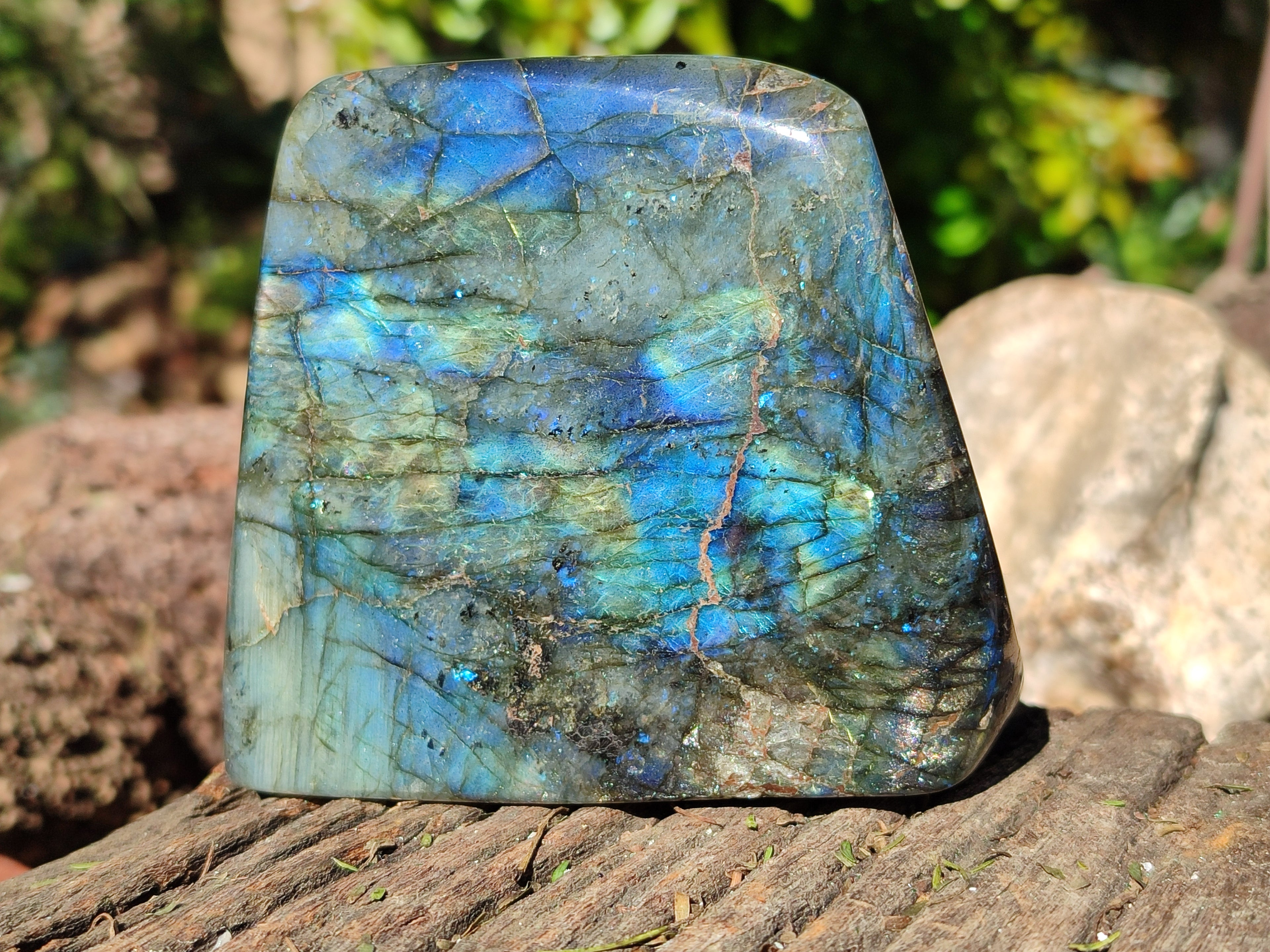 Polished Labradorite Standing Free Forms x 2 From Tulear, Madagascar - Toprock Gemstones and Minerals 