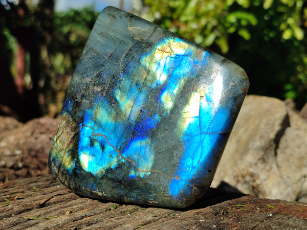 Polished Labradorite Standing Free Forms x 2 From Tulear, Madagascar