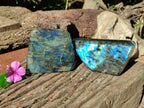 Polished Labradorite Standing Free Forms x 2 From Tulear, Madagascar - Toprock Gemstones and Minerals 