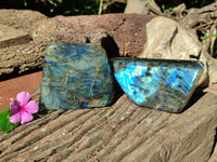 Polished Labradorite Standing Free Forms x 2 From Tulear, Madagascar