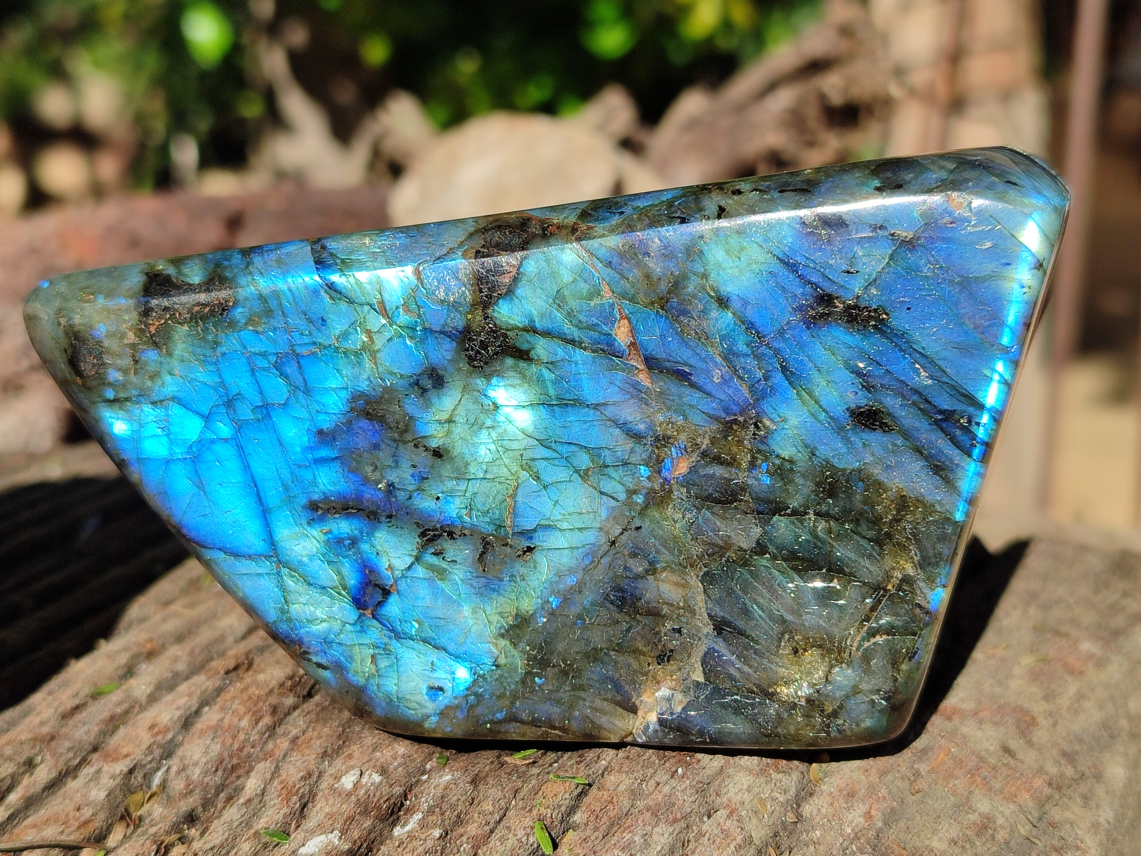 Polished Labradorite Standing Free Forms x 2 From Tulear, Madagascar - Toprock Gemstones and Minerals 