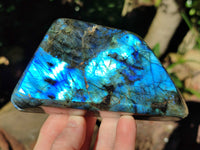 Polished Labradorite Standing Free Forms x 2 From Tulear, Madagascar