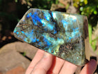 Polished Labradorite Standing Free Forms x 2 From Tulear, Madagascar - Toprock Gemstones and Minerals 