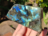 Polished Labradorite Standing Free Forms x 2 From Tulear, Madagascar