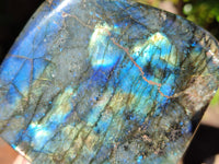 Polished Labradorite Standing Free Forms x 2 From Tulear, Madagascar