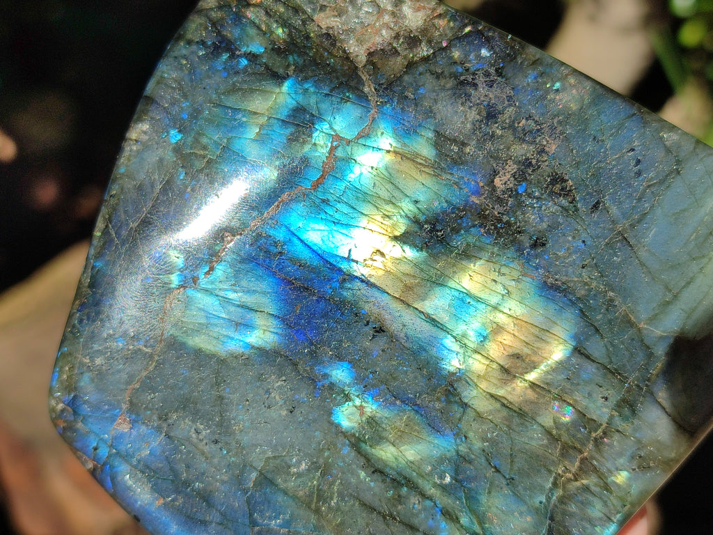 Polished Labradorite Standing Free Forms x 2 From Tulear, Madagascar - Toprock Gemstones and Minerals 