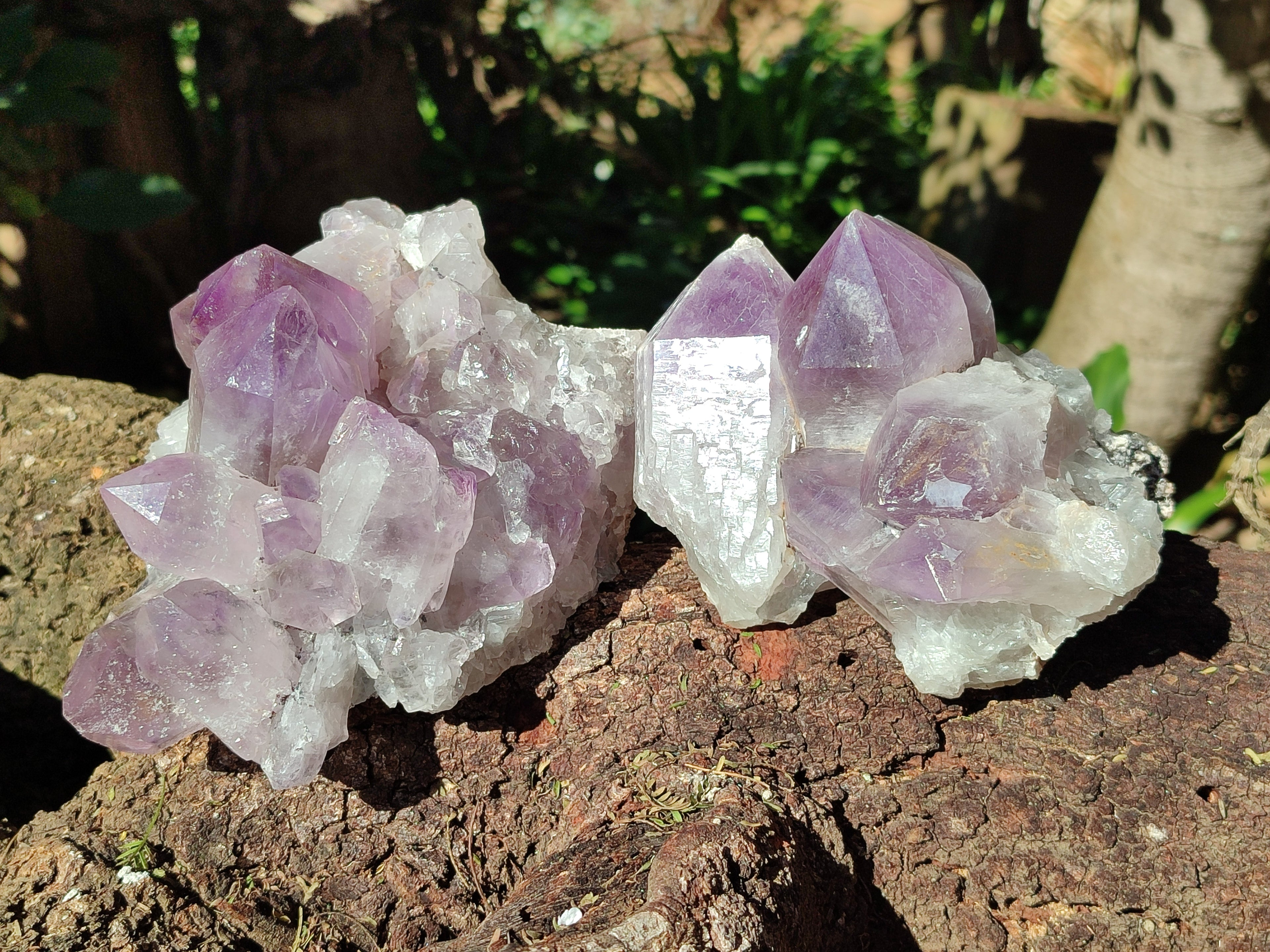 Natural Jacaranda Amethyst Quartz Clusters x 2 From Mumbwa, Zambia - Toprock Gemstones and Minerals 