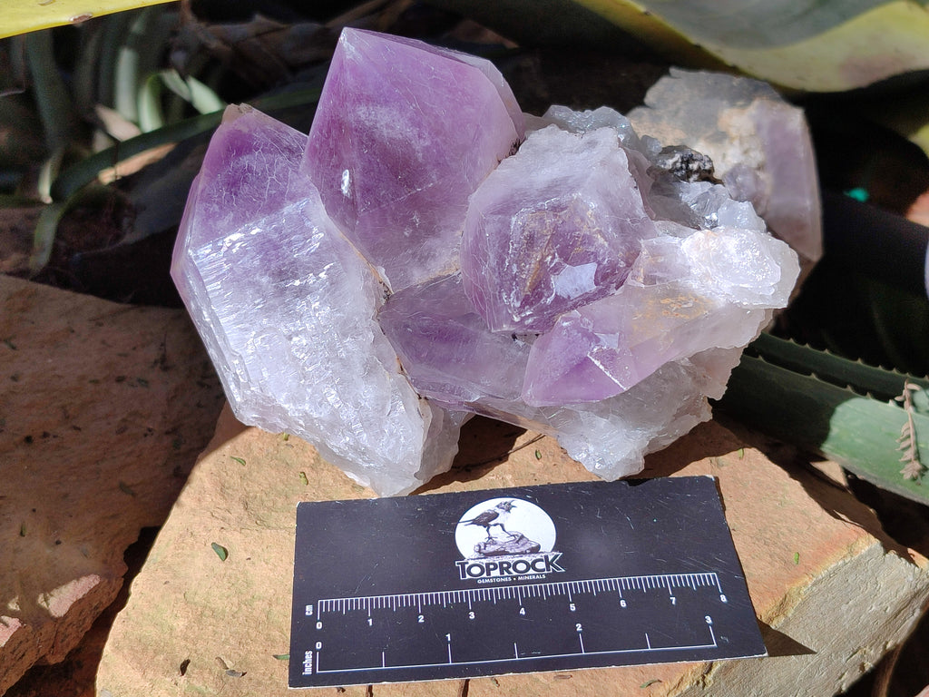 Natural Jacaranda Amethyst Quartz Clusters x 2 From Mumbwa, Zambia - Toprock Gemstones and Minerals 