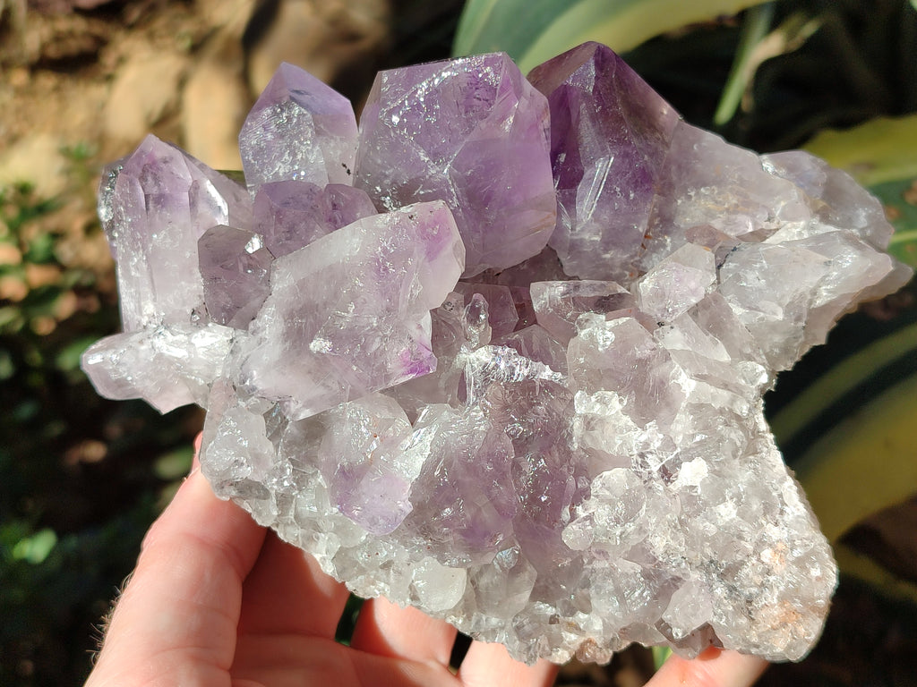 Natural Jacaranda Amethyst Quartz Clusters x 2 From Mumbwa, Zambia - Toprock Gemstones and Minerals 