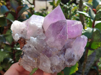 Natural Jacaranda Amethyst Quartz Clusters x 2 From Mumbwa, Zambia