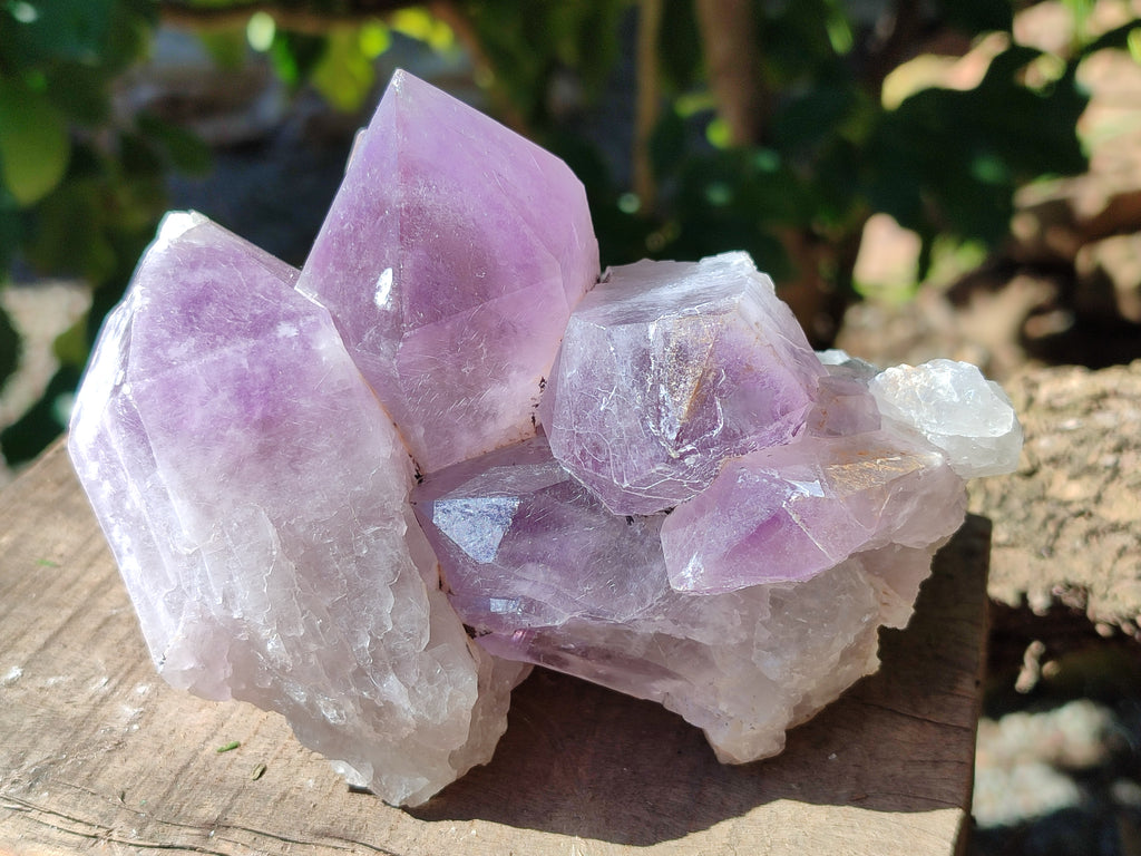 Natural Jacaranda Amethyst Quartz Clusters x 2 From Mumbwa, Zambia - Toprock Gemstones and Minerals 