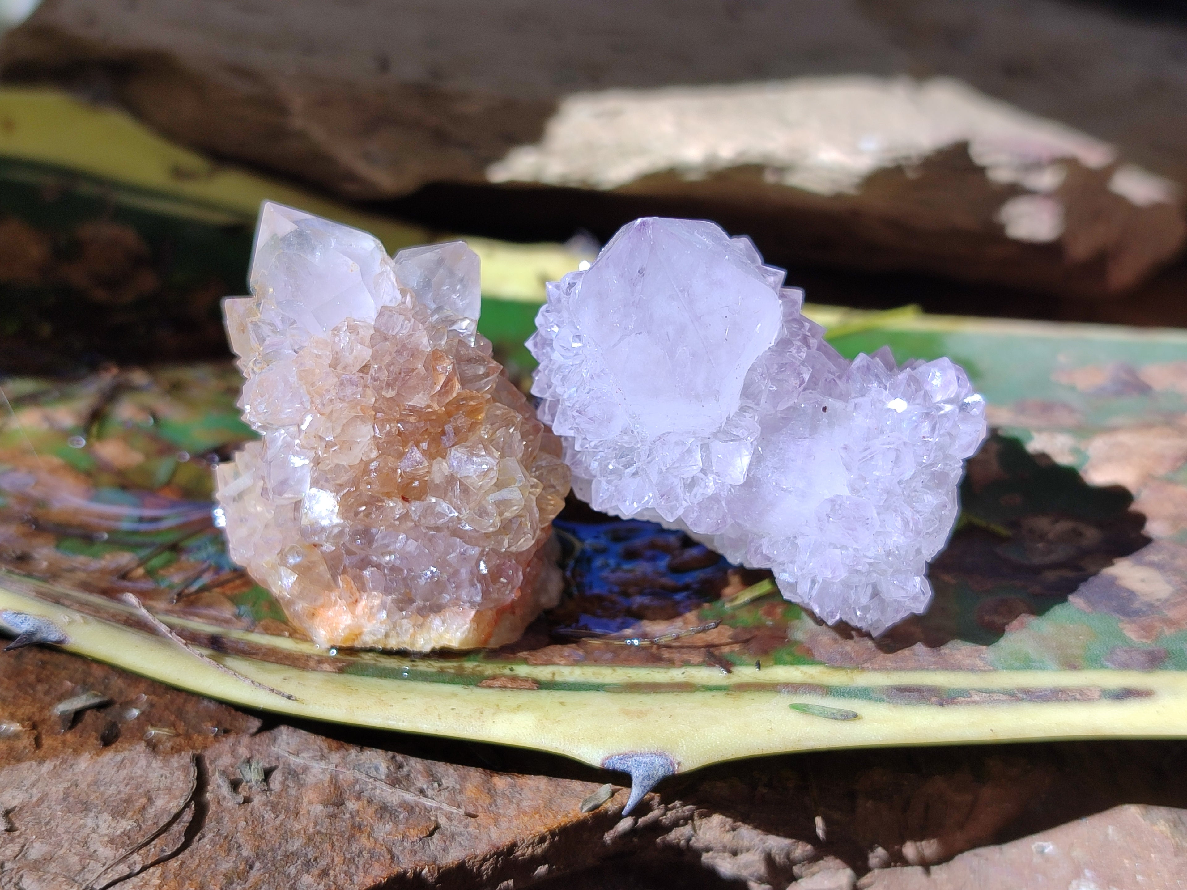 Natural Amethyst Spirit Quartz Clusters x 35 From Boekenhouthoek, South Africa - Toprock Gemstones and Minerals 