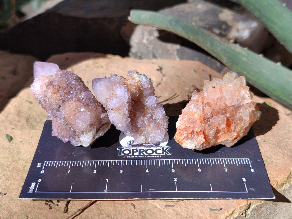 Natural Amethyst Spirit Quartz Clusters x 35 From Boekenhouthoek, South Africa - Toprock Gemstones and Minerals 