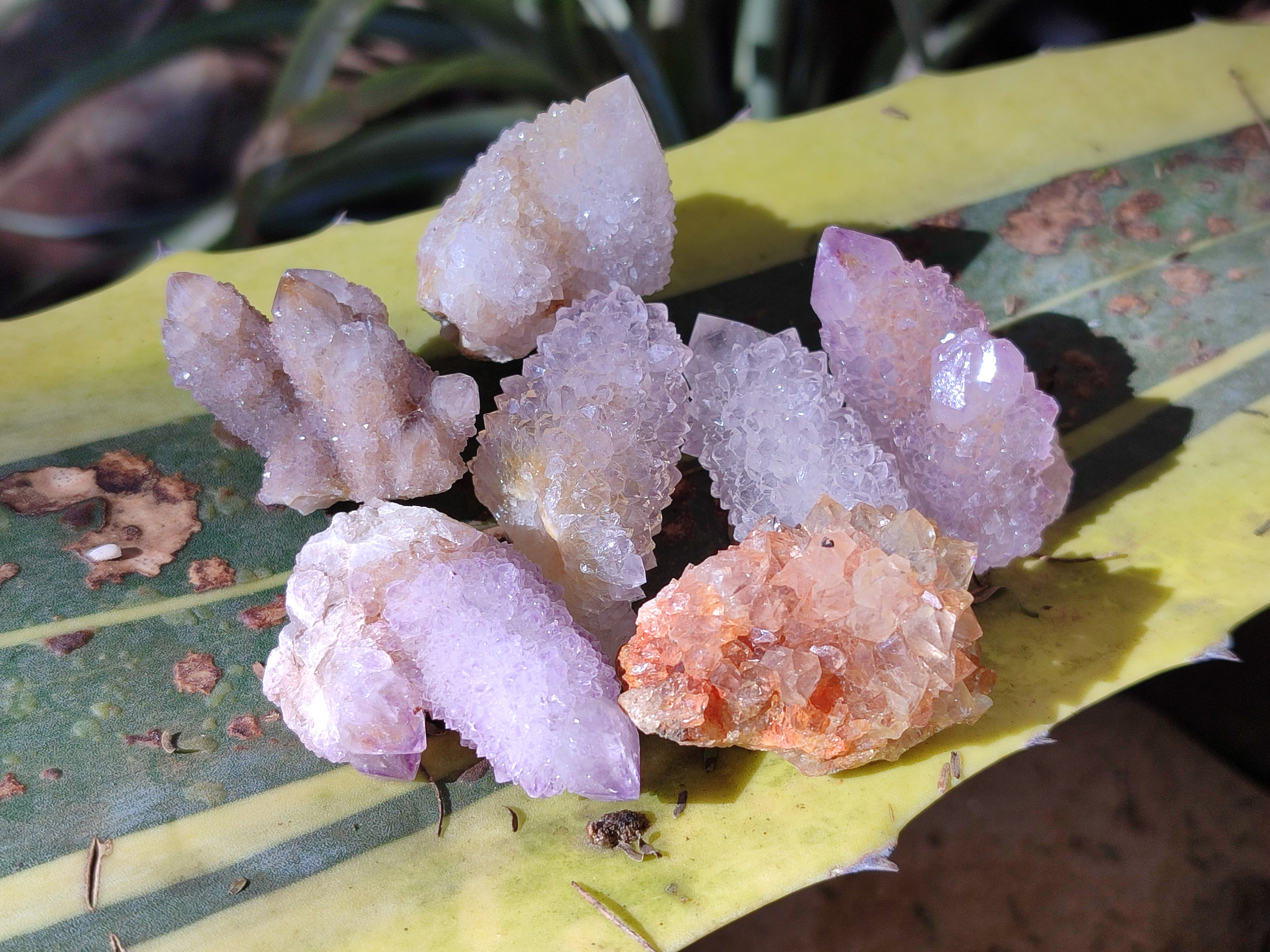 Natural Amethyst Spirit Quartz Clusters x 35 From Boekenhouthoek, South Africa - Toprock Gemstones and Minerals 