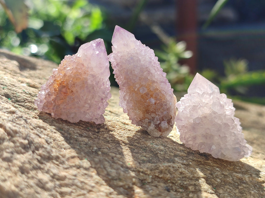 Natural Amethyst Spirit Quartz Clusters x 35 From Boekenhouthoek, South Africa - Toprock Gemstones and Minerals 