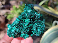 Natural Silky Malachite Specimens x 12 From Kasompe, Congo