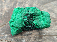 Natural Silky Malachite Specimens x 12 From Kasompe, Congo