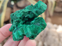 Natural Silky Malachite Specimens x 12 From Kasompe, Congo