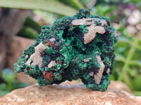 Natural Silky Malachite Specimens x 12 From Kasompe, Congo