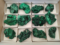 Natural Silky Malachite Specimens x 12 From Kasompe, Congo