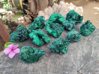 Natural Silky Malachite Specimens x 12 From Kasompe, Congo