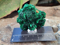 Natural Silky Malachite Specimens x 12 From Kasompe, Congo