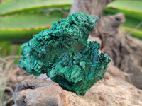 Natural Silky Malachite Specimens x 12 From Kasompe, Congo