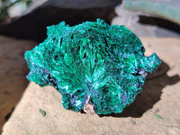 Natural Silky Malachite Specimens x 12 From Kasompe, Congo
