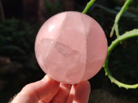 Polished Gemmy Rose Quartz Spheres x 2 From Madagascar