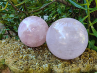 Polished Gemmy Rose Quartz Spheres x 2 From Madagascar