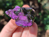 Natural Purpurite Cobbed specimens x 35 From Erongo, Namibia