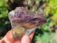 Natural Purpurite Cobbed specimens x 35 From Erongo, Namibia