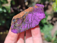 Natural Purpurite Cobbed specimens x 35 From Erongo, Namibia