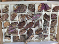 Natural Purpurite Cobbed specimens x 35 From Erongo, Namibia