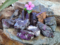 Natural Purpurite Cobbed specimens x 35 From Erongo, Namibia