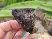 Natural Purpurite Cobbed specimens x 35 From Erongo, Namibia