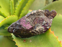 Natural Purpurite Cobbed specimens x 35 From Erongo, Namibia