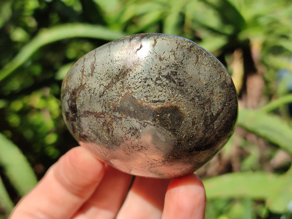 Polished Rare Pharaoh Stone Pyrite in Basalt Palm Stones x 6 Iron Duke Mine, Zimbabwe - Toprock Gemstones and Minerals 